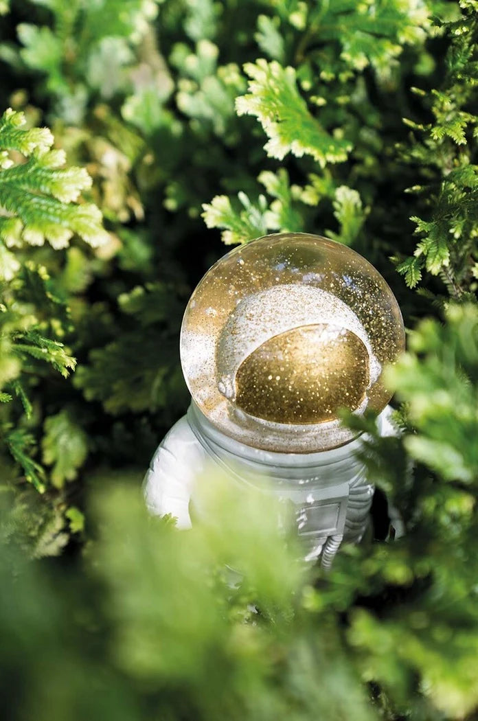 Donkey Summerglobe The Astronaut Dekorasyonu