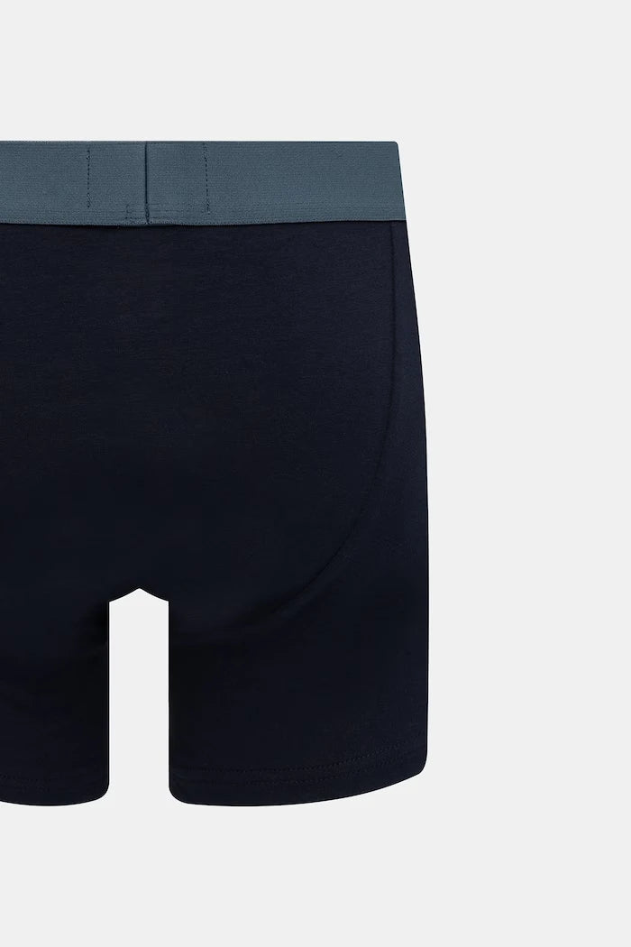 Emporio Armani Underwear erkek boxer pamuk elastan 2’li