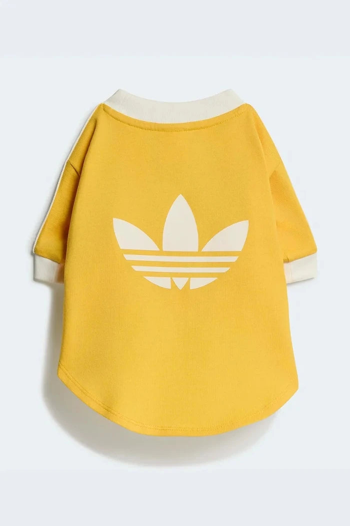 adidas Originals Evcil Hayvan Pet Cali