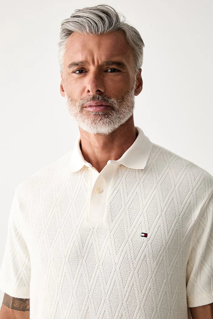 Tommy Hilfiger lioselli erkek polo yaka tişört