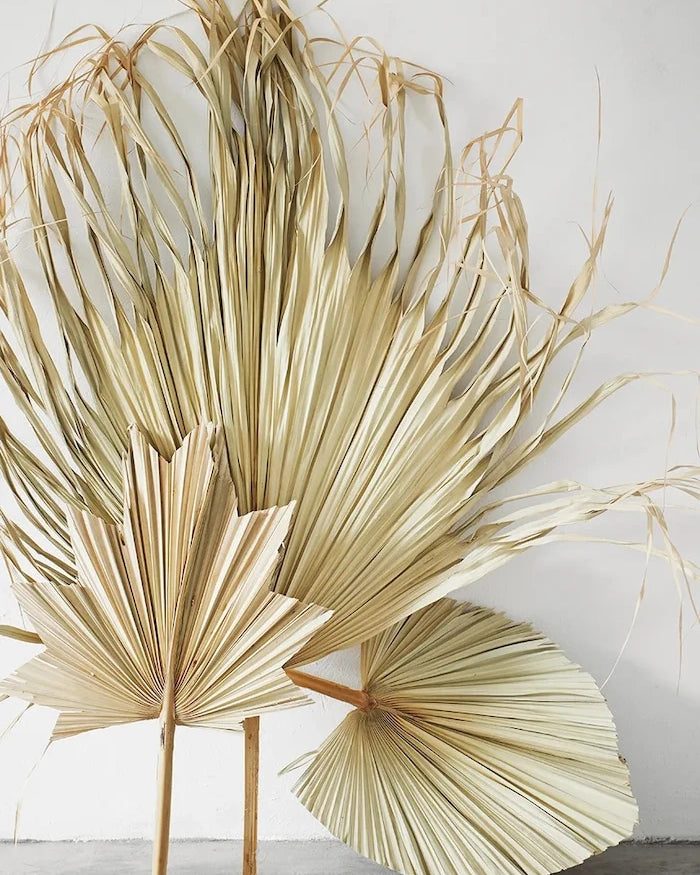 Madam Stoltz Palm Leaves 60-70 cm Duvar Dekorasyonu (3 Parça)