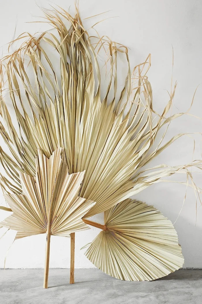 Madam Stoltz Palm Leaves 60-70 cm Duvar Dekorasyonu (3 Parça)