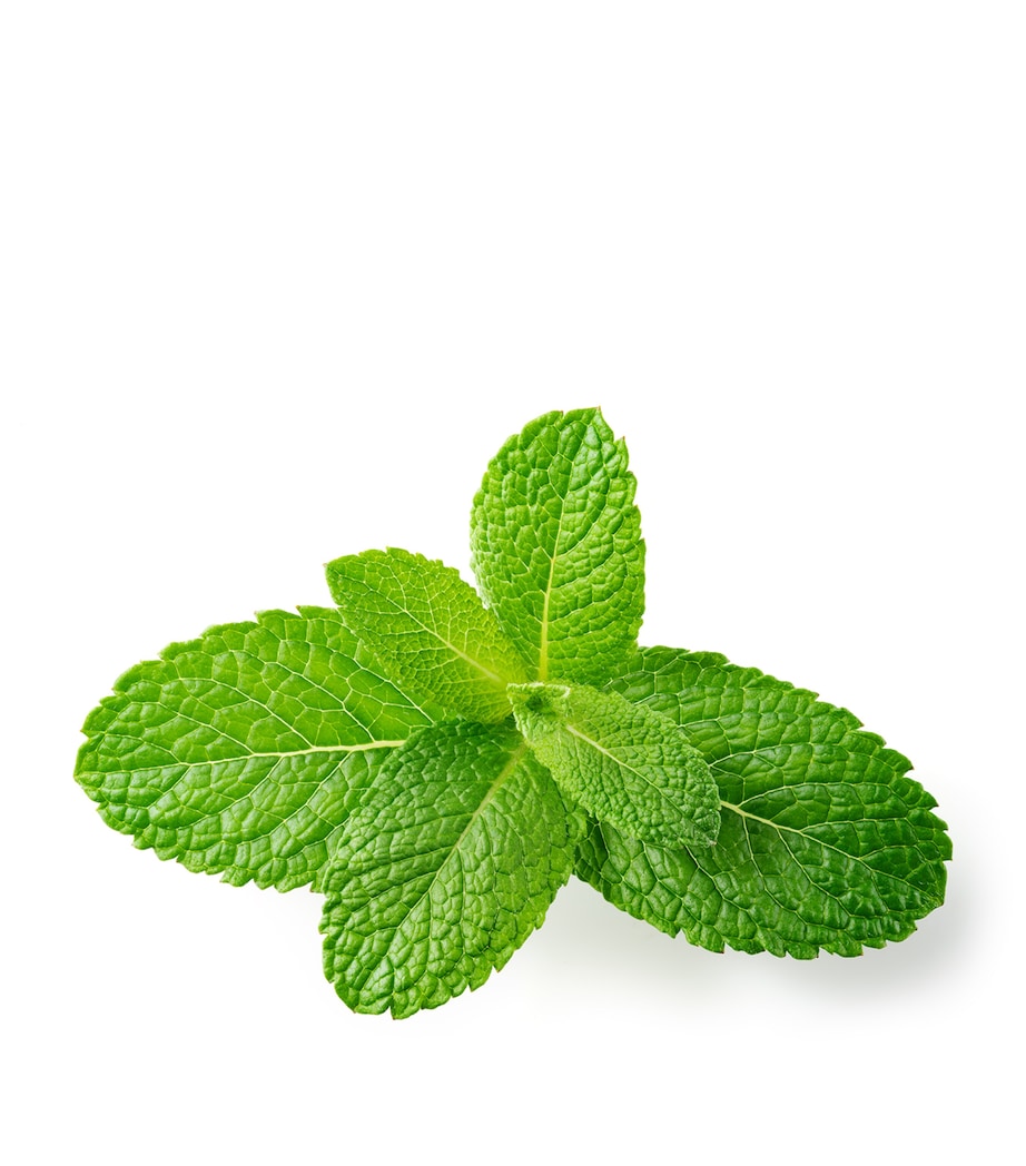 Vital Contour Cream (15ml)