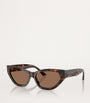 Jimmy Choo Brown Acetate JC5022B Sunglasses