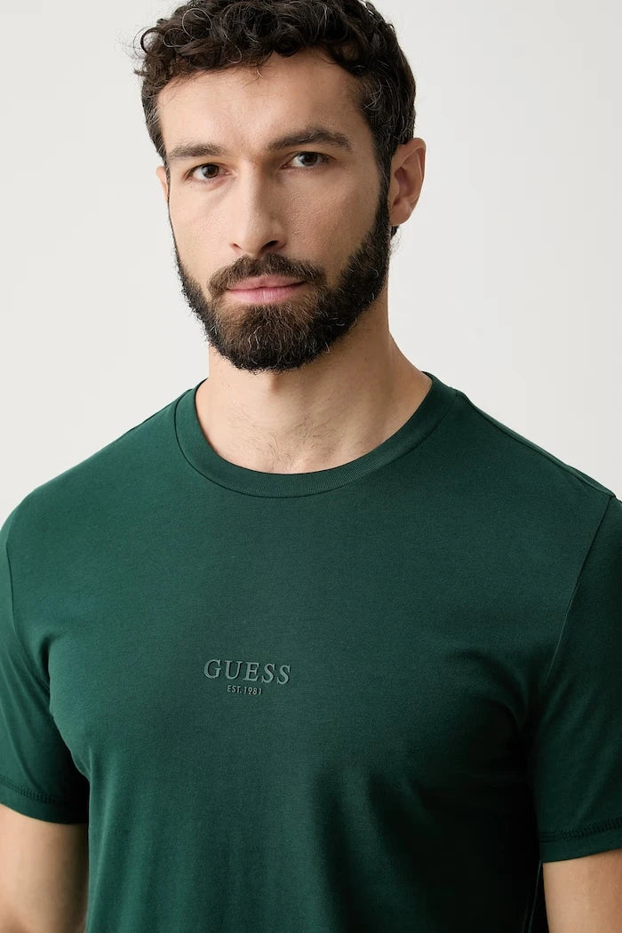 Guess erkek pamuklu tişört AIDY