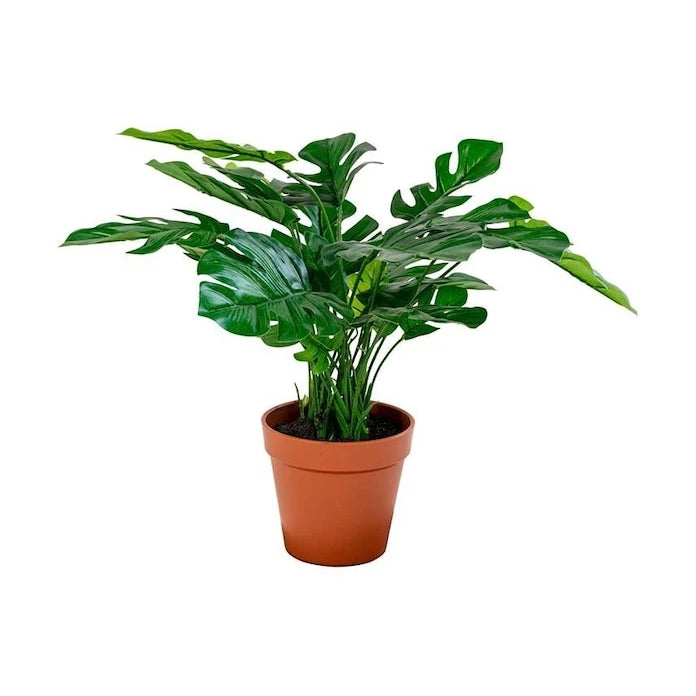Saksıda Yapay Bitki House Nordic Monstera