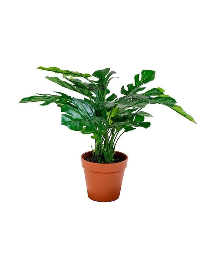 Saksıda Yapay Bitki House Nordic Monstera