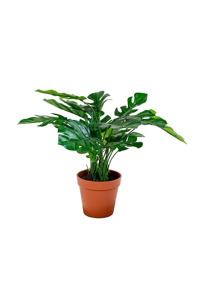 Saksıda Yapay Bitki House Nordic Monstera