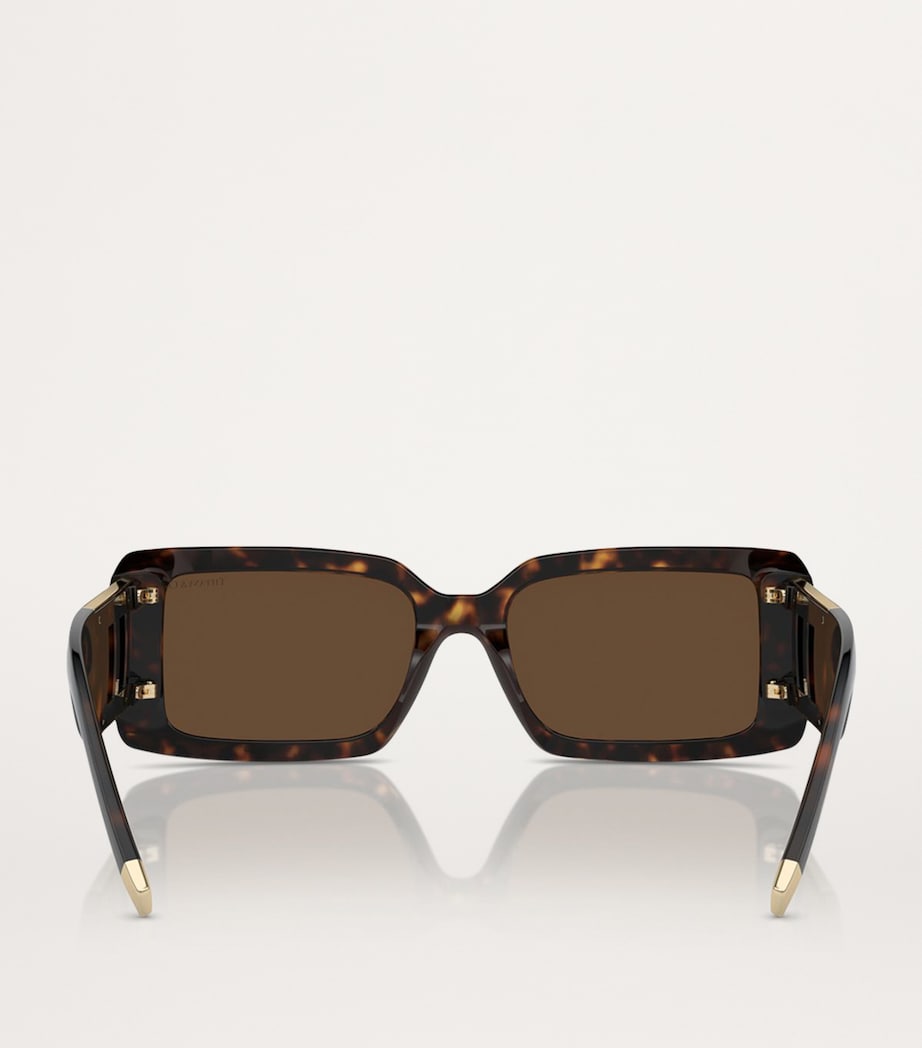 Tiffany & Co. Brown Acetate TF4197 Sunglasses
