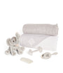 English Trousseau Kids Organza New Baby Hamper