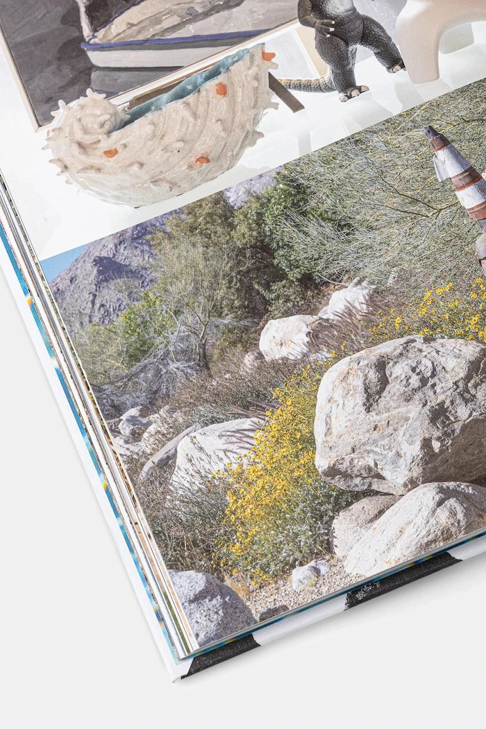 Книга home & lifestyle Inside Palm Springs by Don Flood, English
