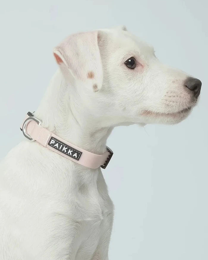 Флуоресцентен нашийник за куче PAIKKA Glow Collar 19 x 2 x 0,5 cm