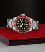 Stainless Steel Black Bay Watch 41mm