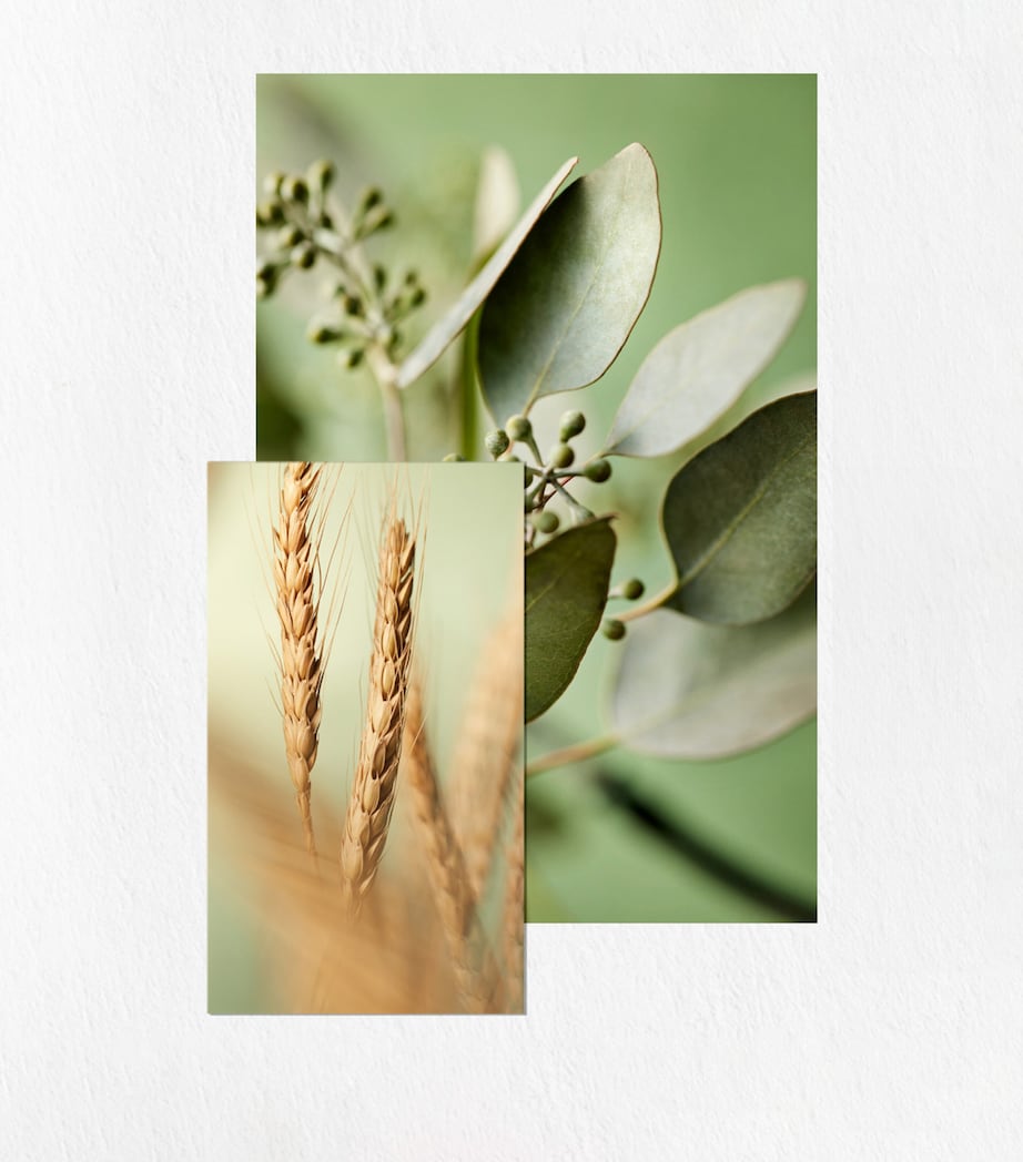 Pureology Hydrate Sheer Conditioner Hair Conditioner (266ml)