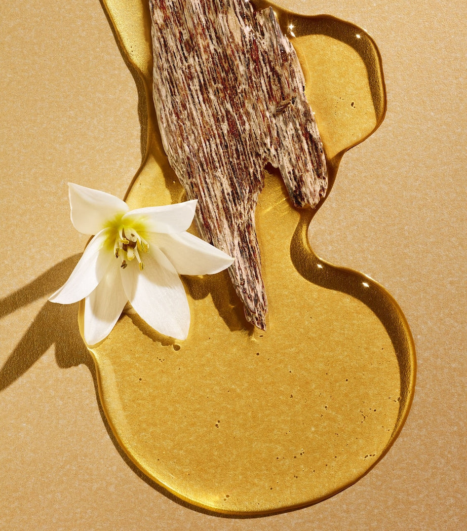 Signatures of The Sun Oud and Zagara Eau de Parfum (100ml)