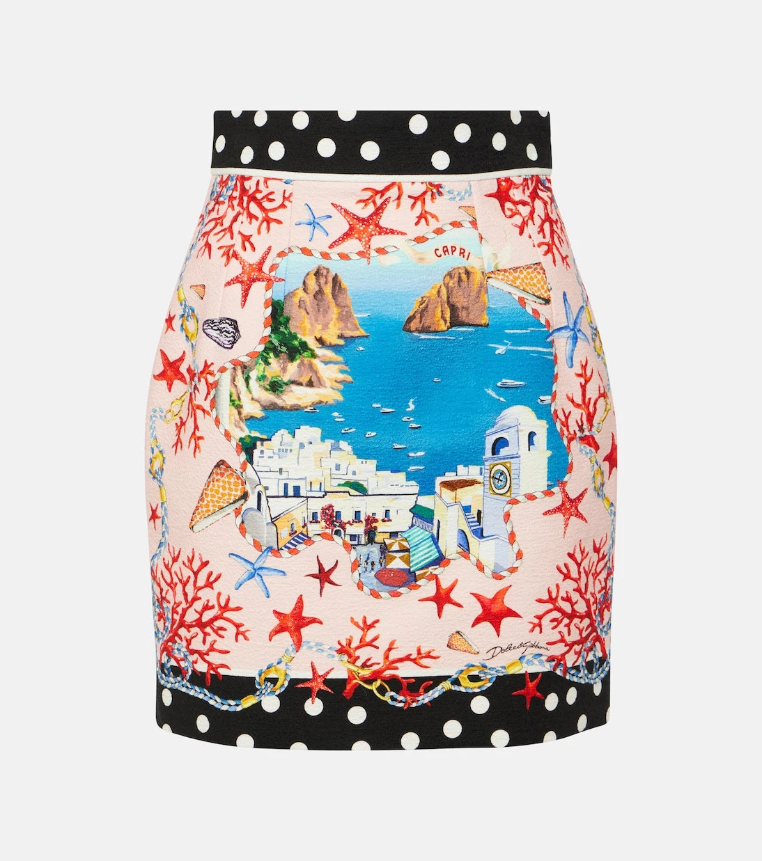 Dolce&Gabbana - Capri printed cotton miniskirt