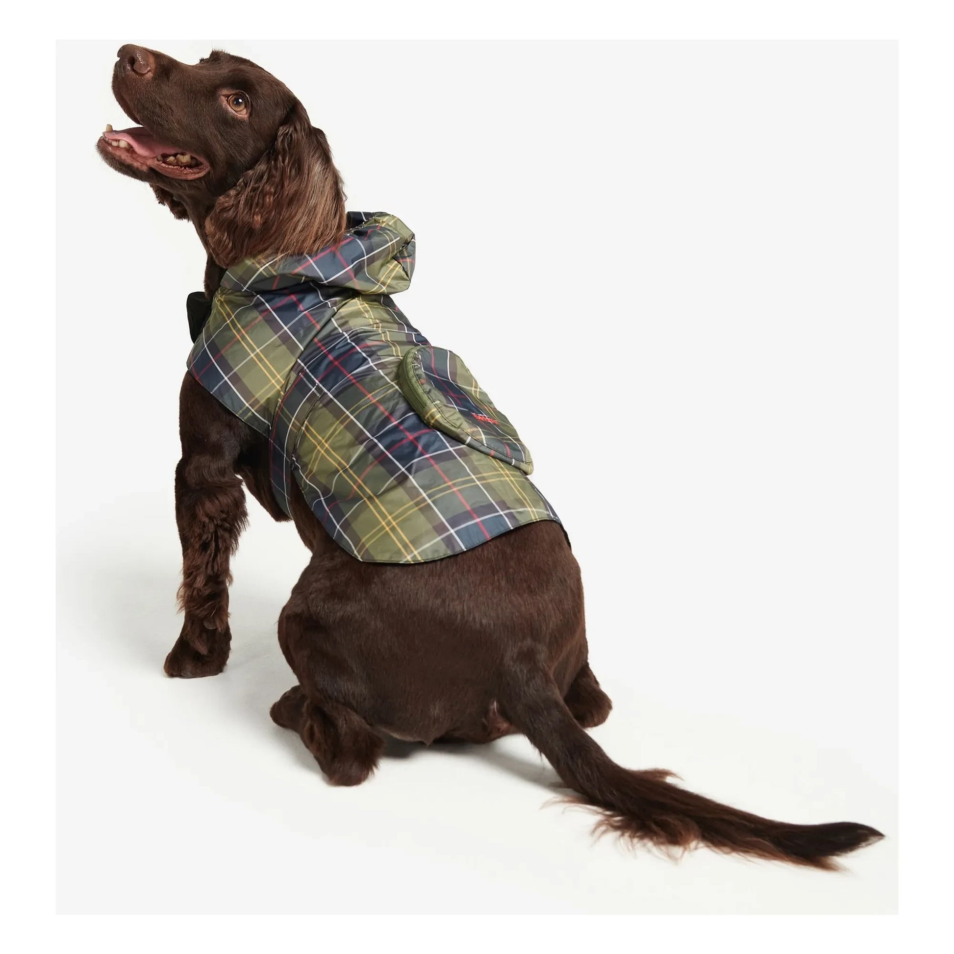 Barbour - Foldable Tartan coat for dogs | Blue