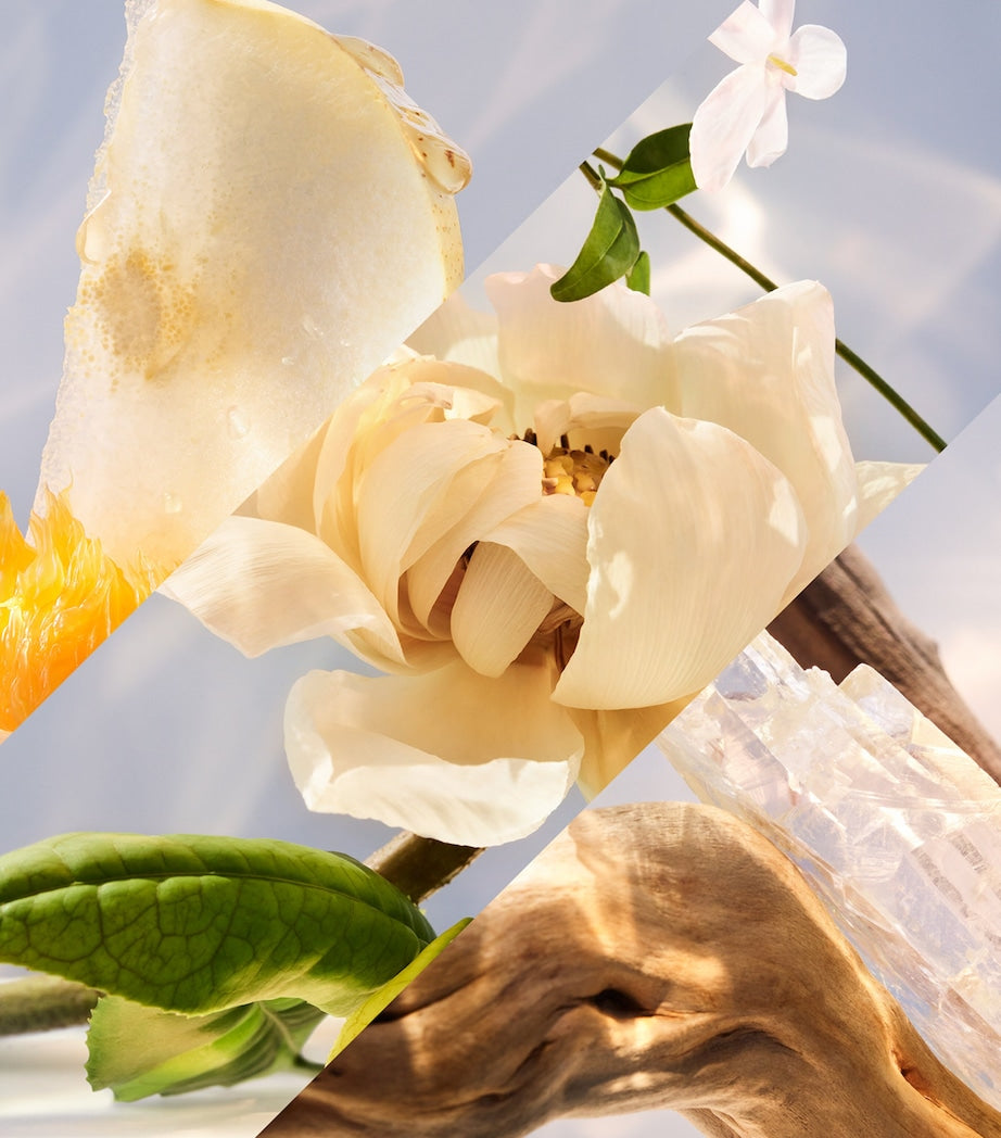 Omnia Crystalline Eau de Parfum (50ml)