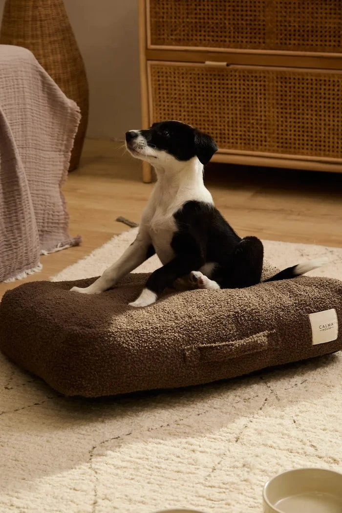 Calma House Taico Köpek Yastığı 60 x 40 x 12 cm
