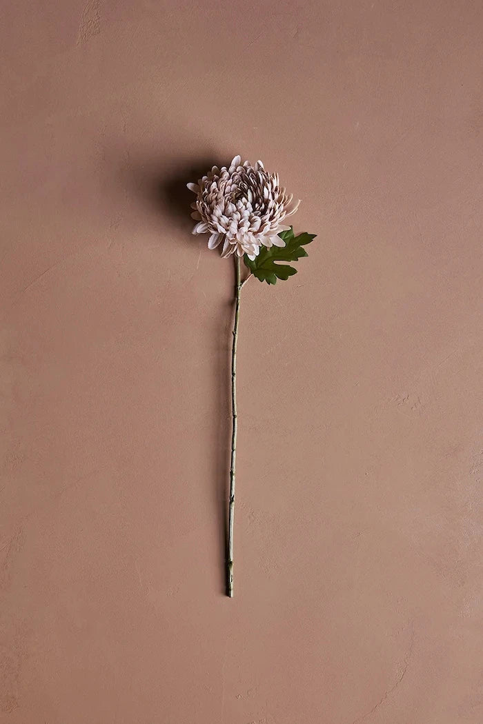 House Doctor HDChrysanthemum Yapay Çiçek 14 x 60 cm