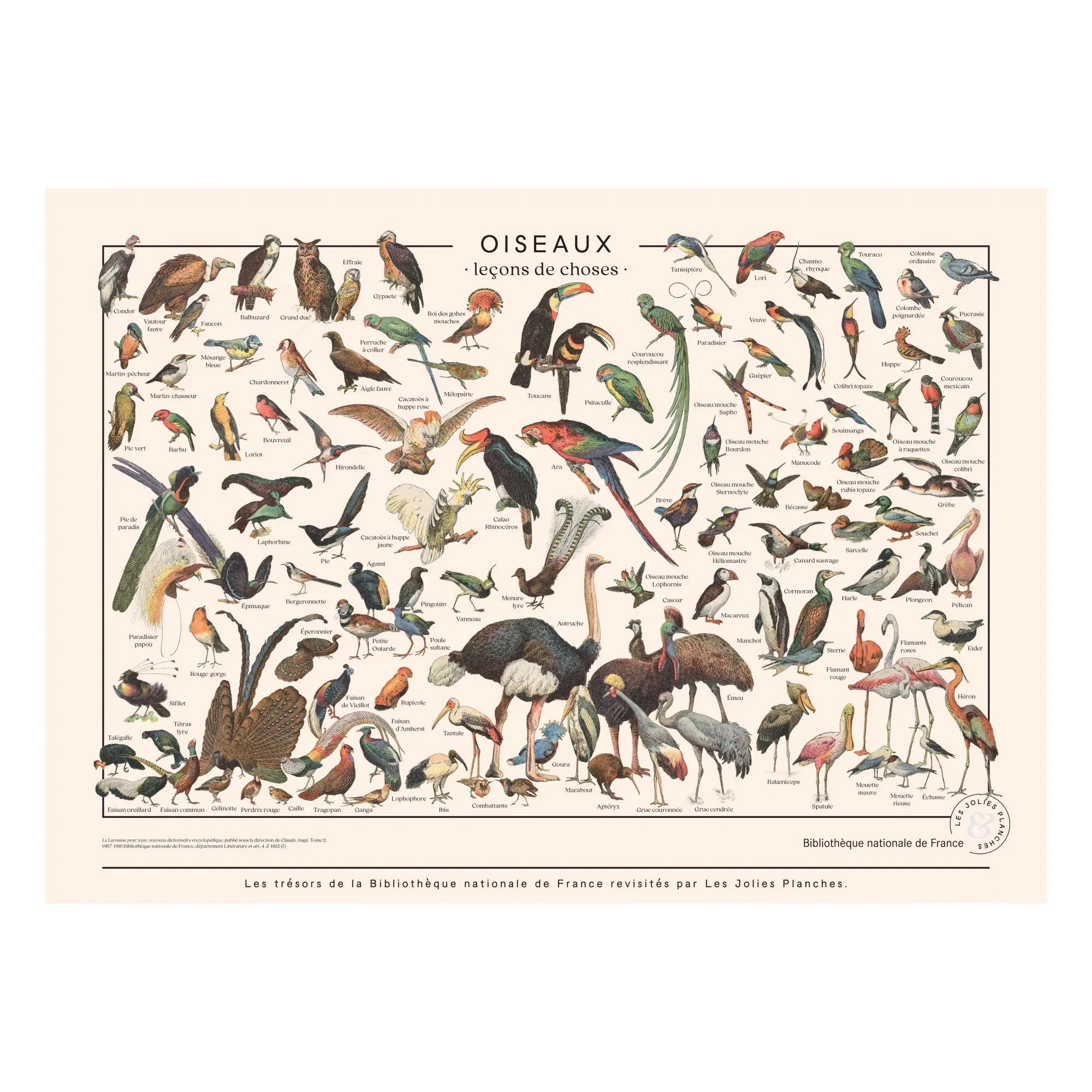 Les Jolies Planches - Bird boards