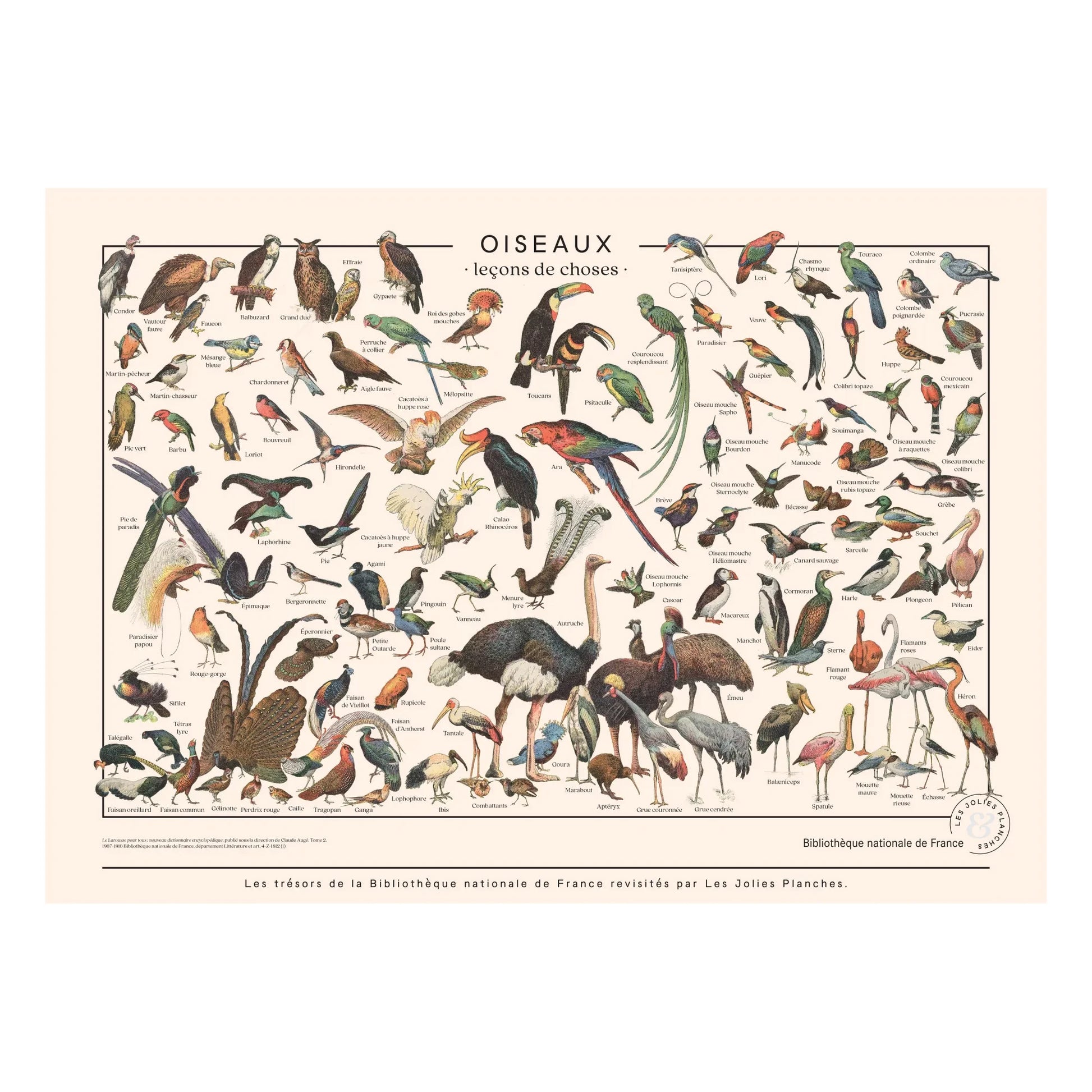 Les Jolies Planches - Bird boards