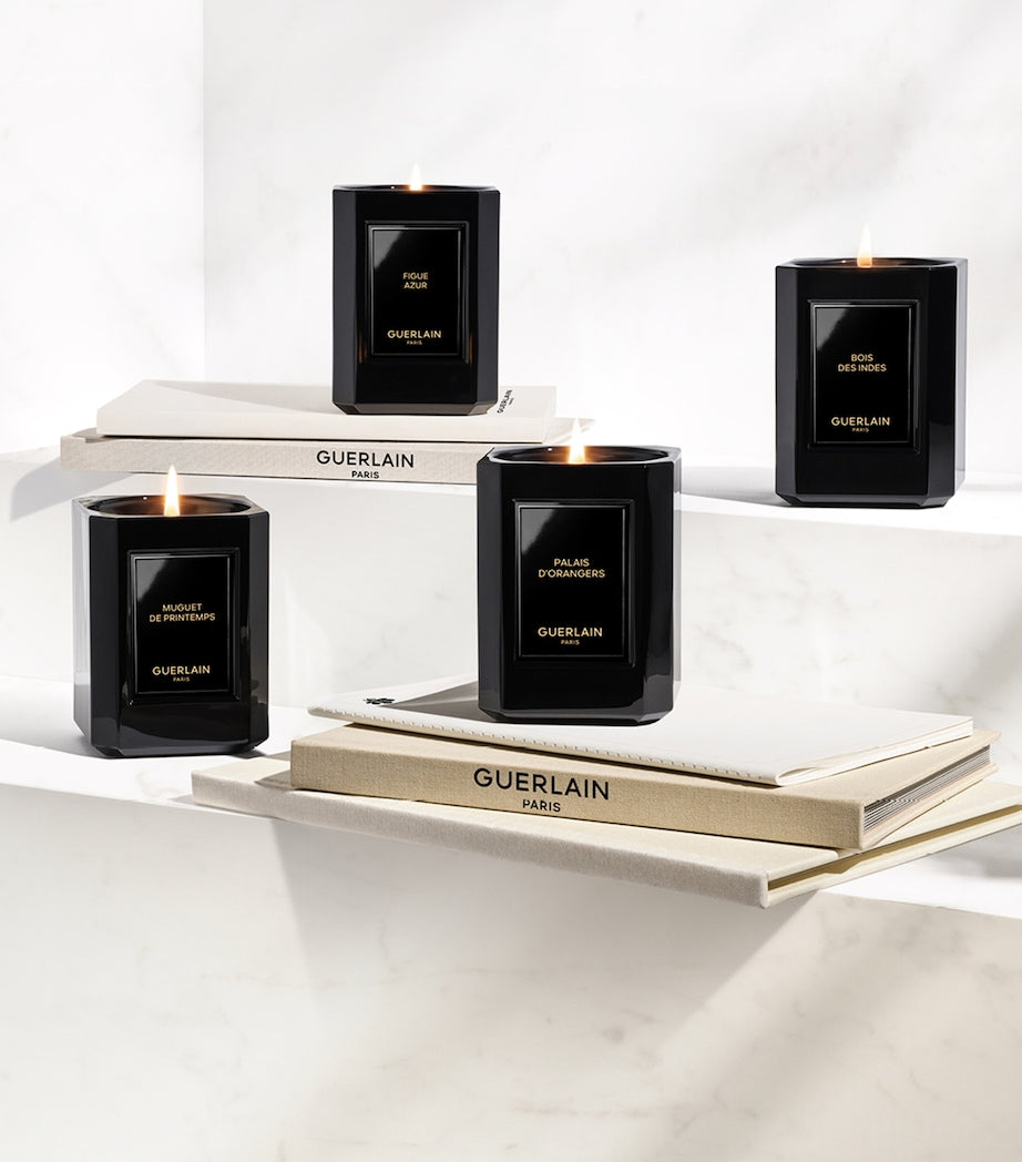 Encens D'Hiver Candle (220g)