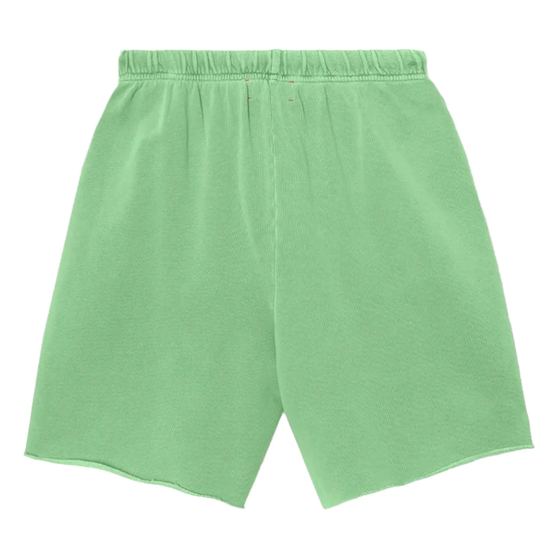 Xirena - Short Rocco | Green