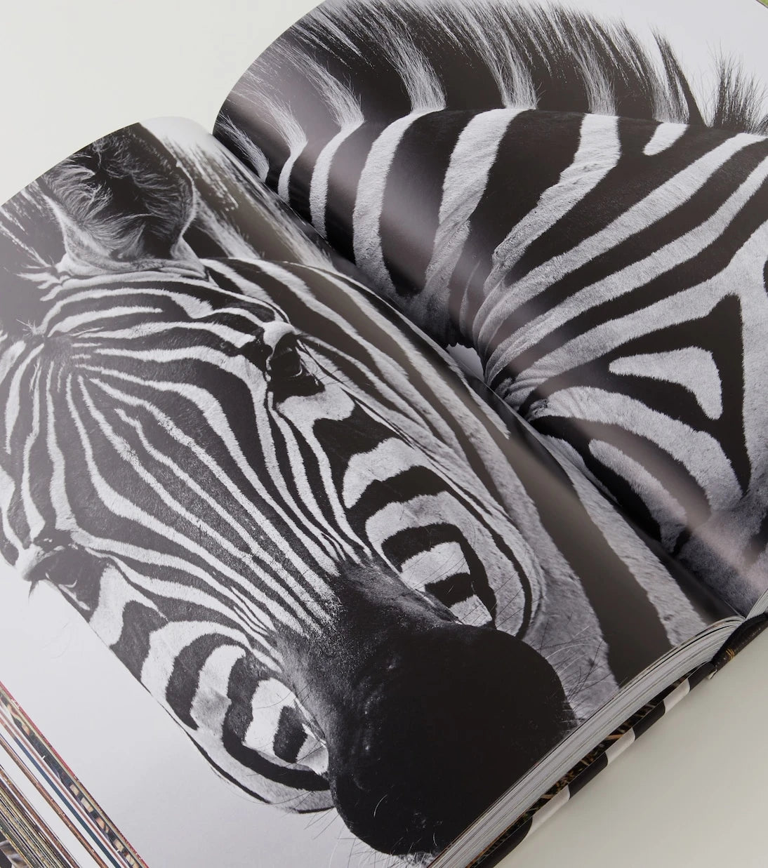 Assouline - African Adventures book