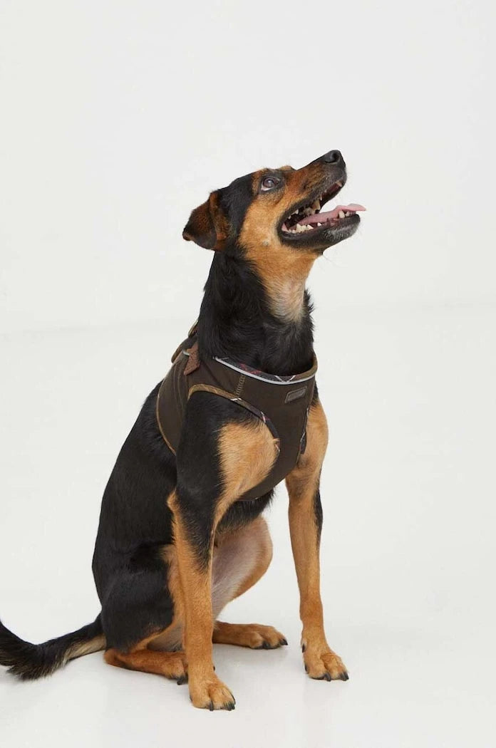 Нагръдник за куче Barbour