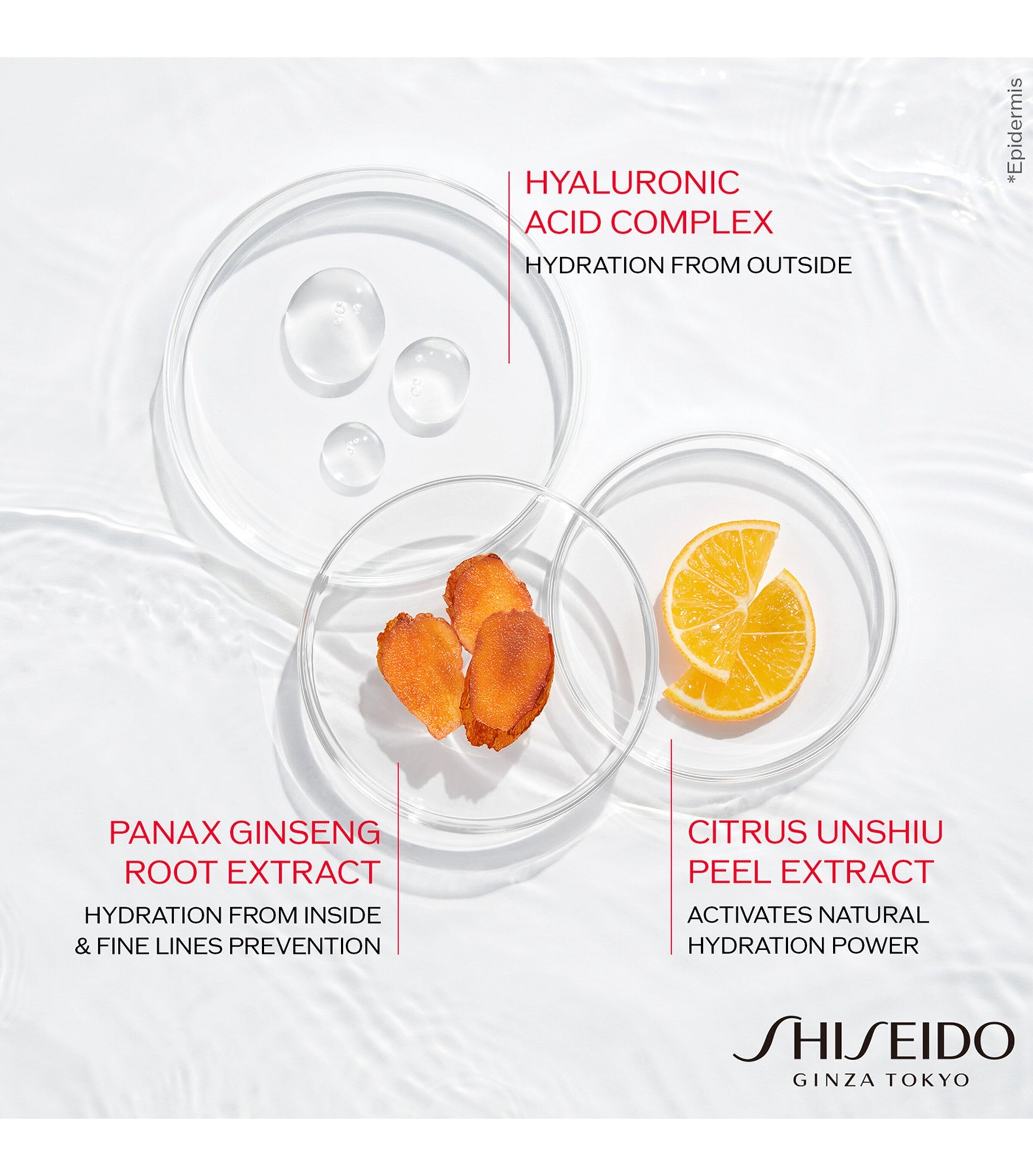 Essential Energy Hydrating Day Cream (50ml)