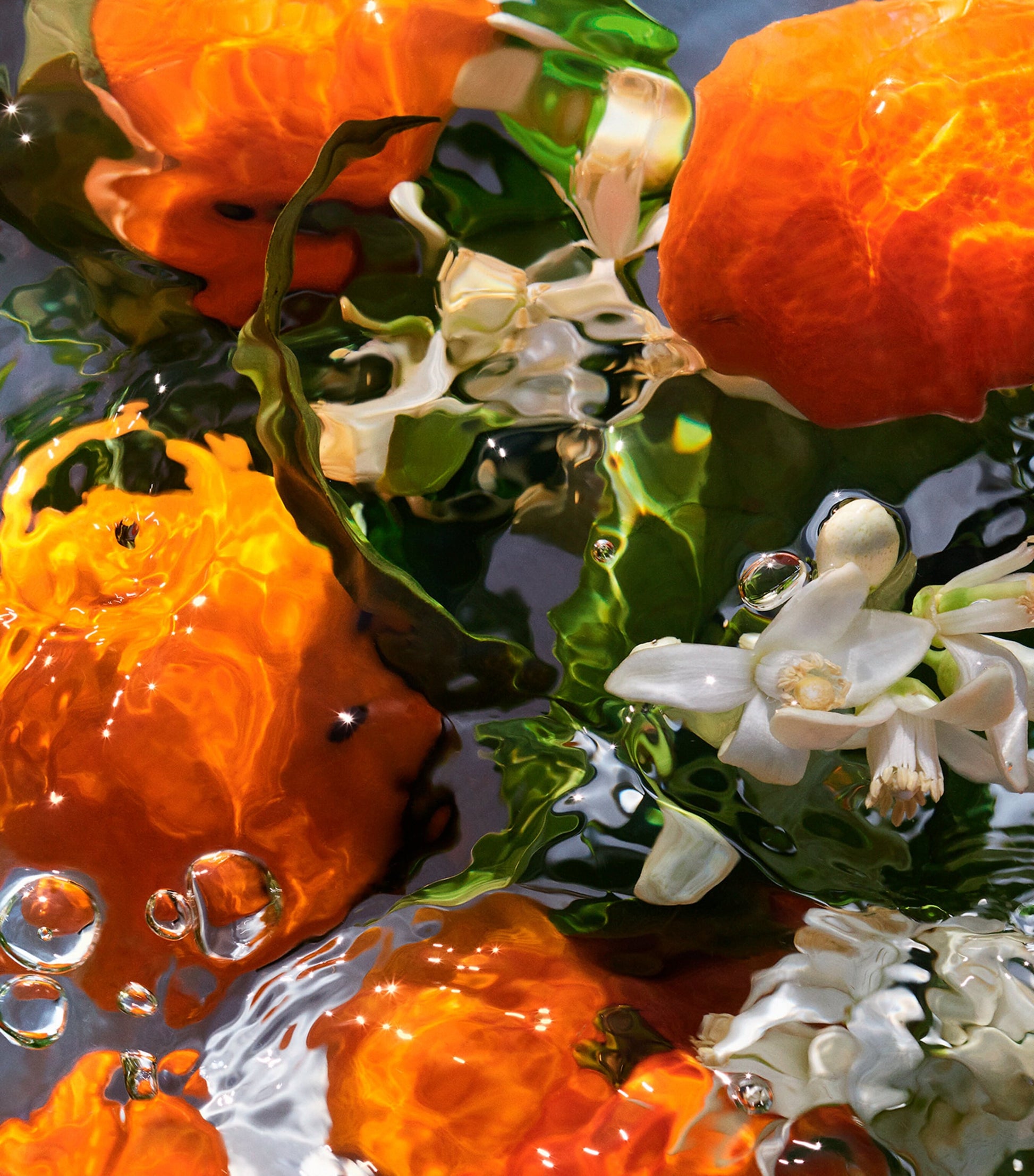 Aqua Allegoria Mandarine Basilic Hand Cream (50ml)