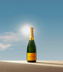Yellow Label Brut Non-Vintage Champagne (75cl) - Champagne, France