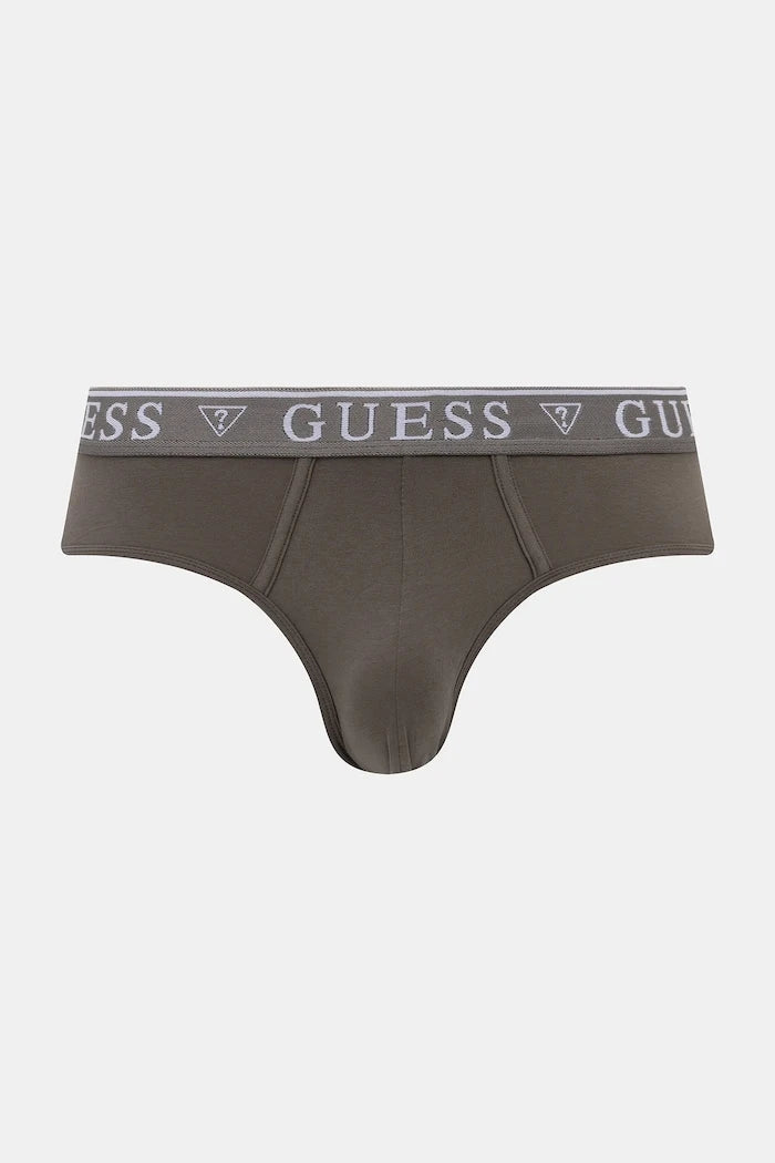 Guess pamuklu elastanlı erkek slip 5'li