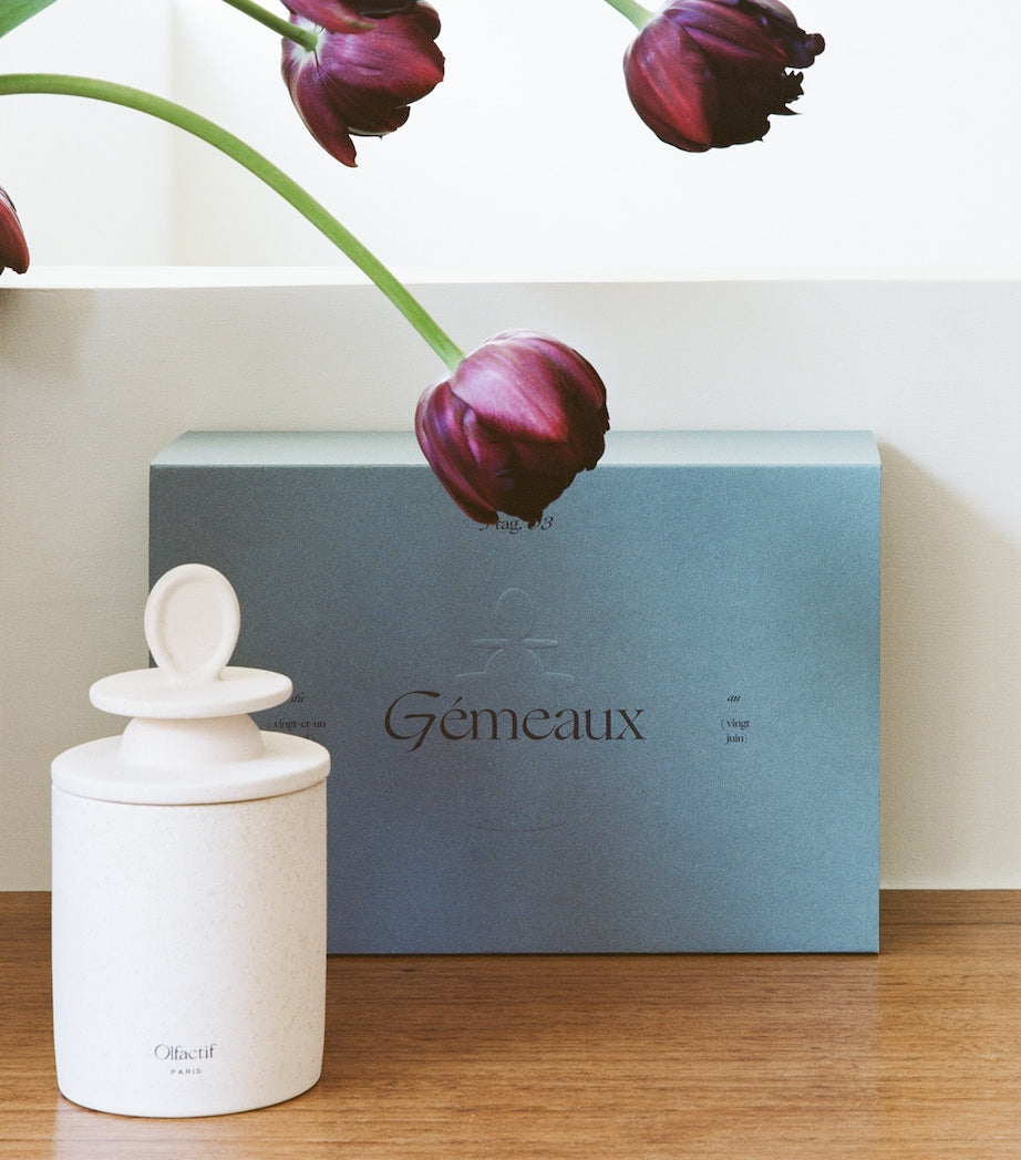 Olfactif Gemini Wild Berries Candle (240g)