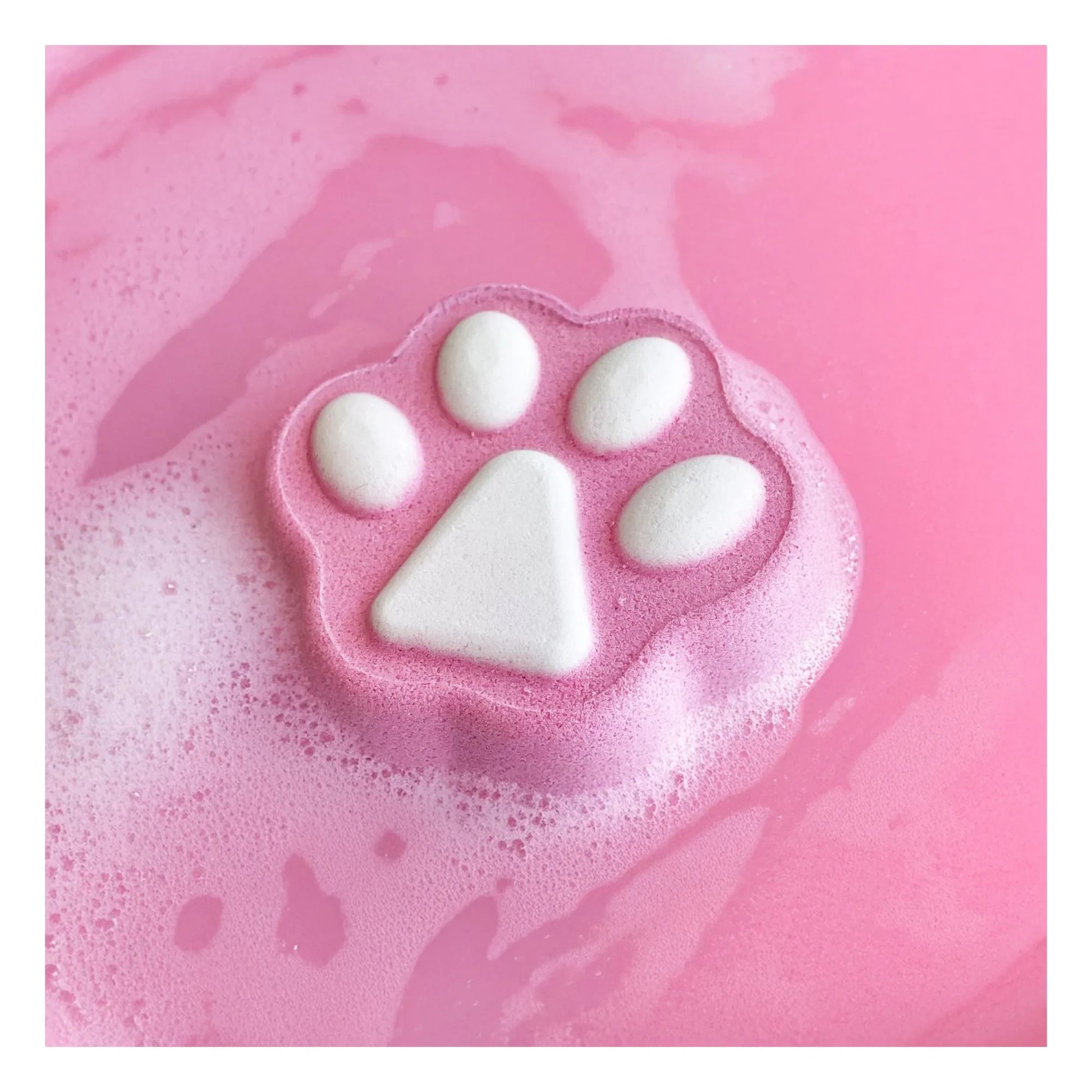Inuwet - Cat's Fizzers Bath Bombs Set