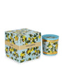 Dolce & Gabbana Casa Lemon Scented Candle (250g)