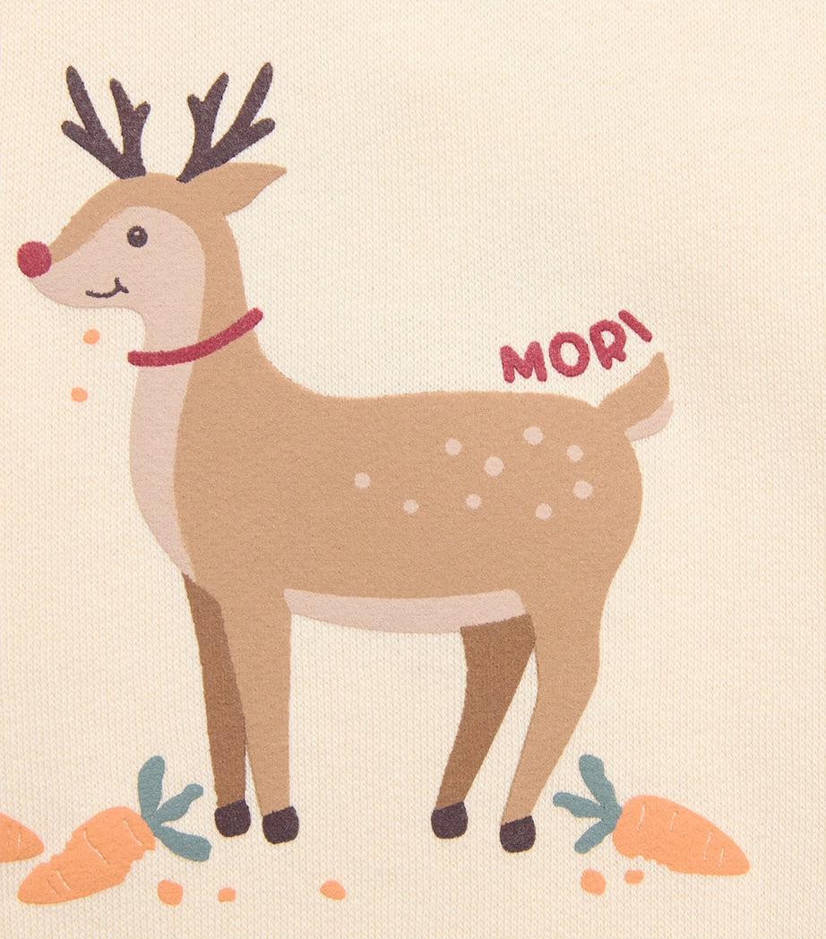 Reindeer Print Sweater (3-36 Months)