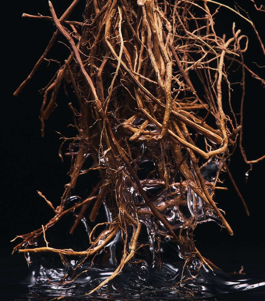 Dolce & Gabbana Velvet Vetiver Eau de Parfum (100ml)