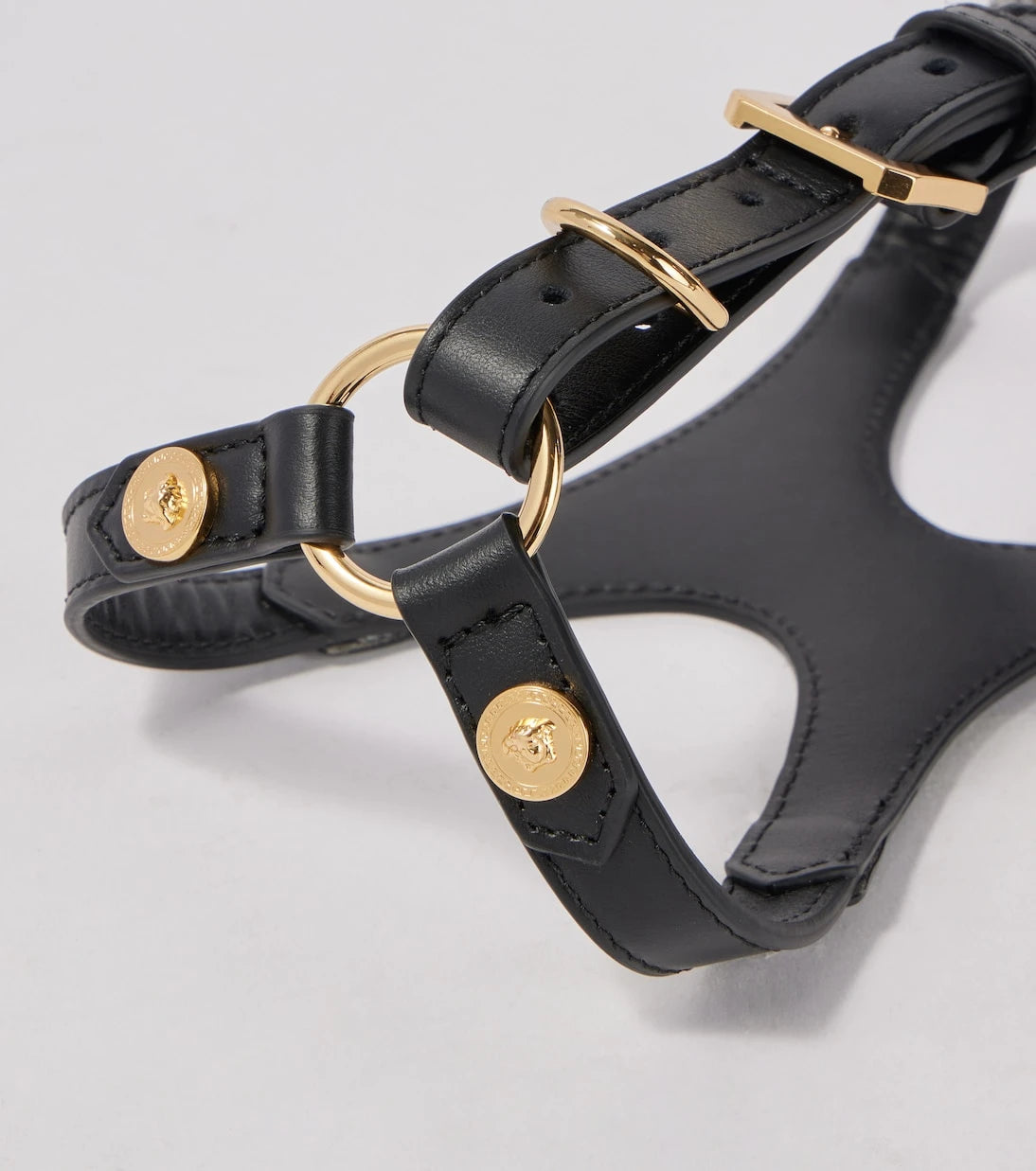 Versace Home - Leather dog harness