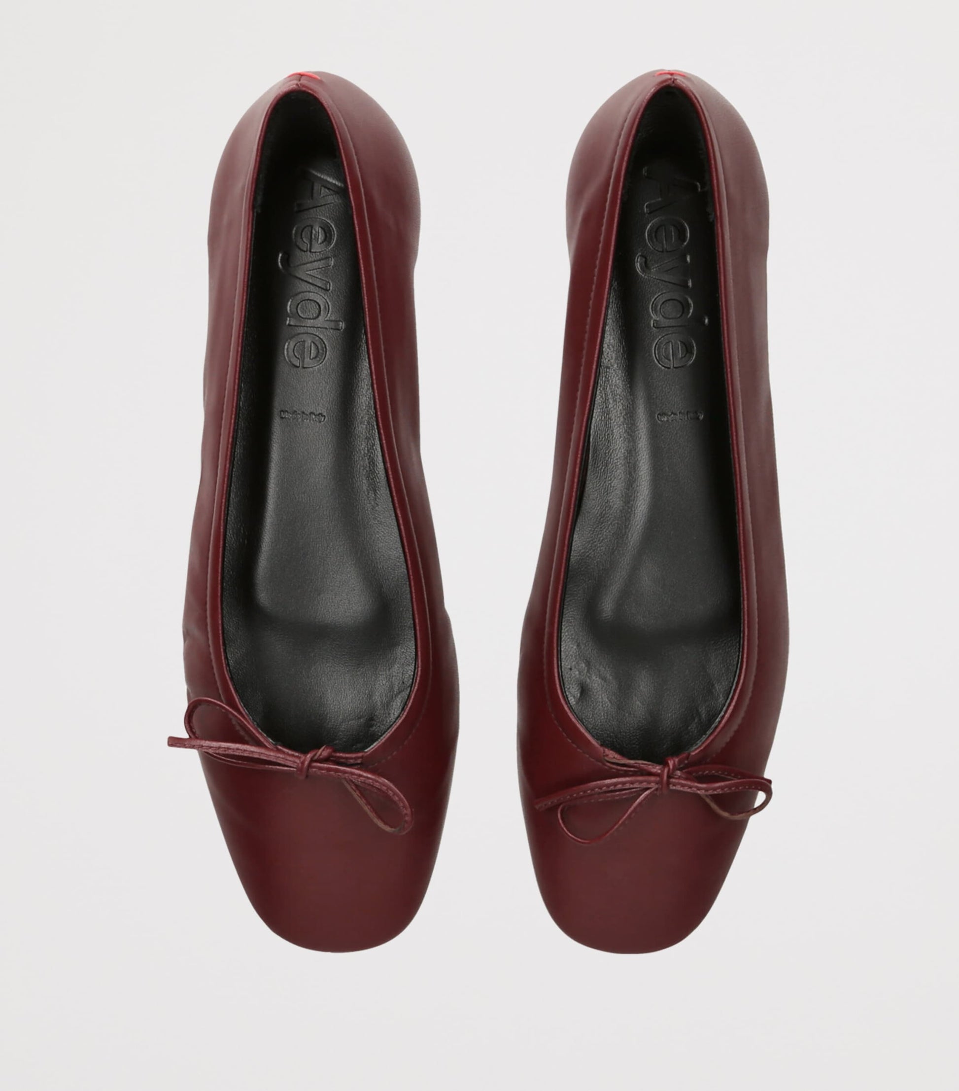 Leather Delfina Ballet Flats