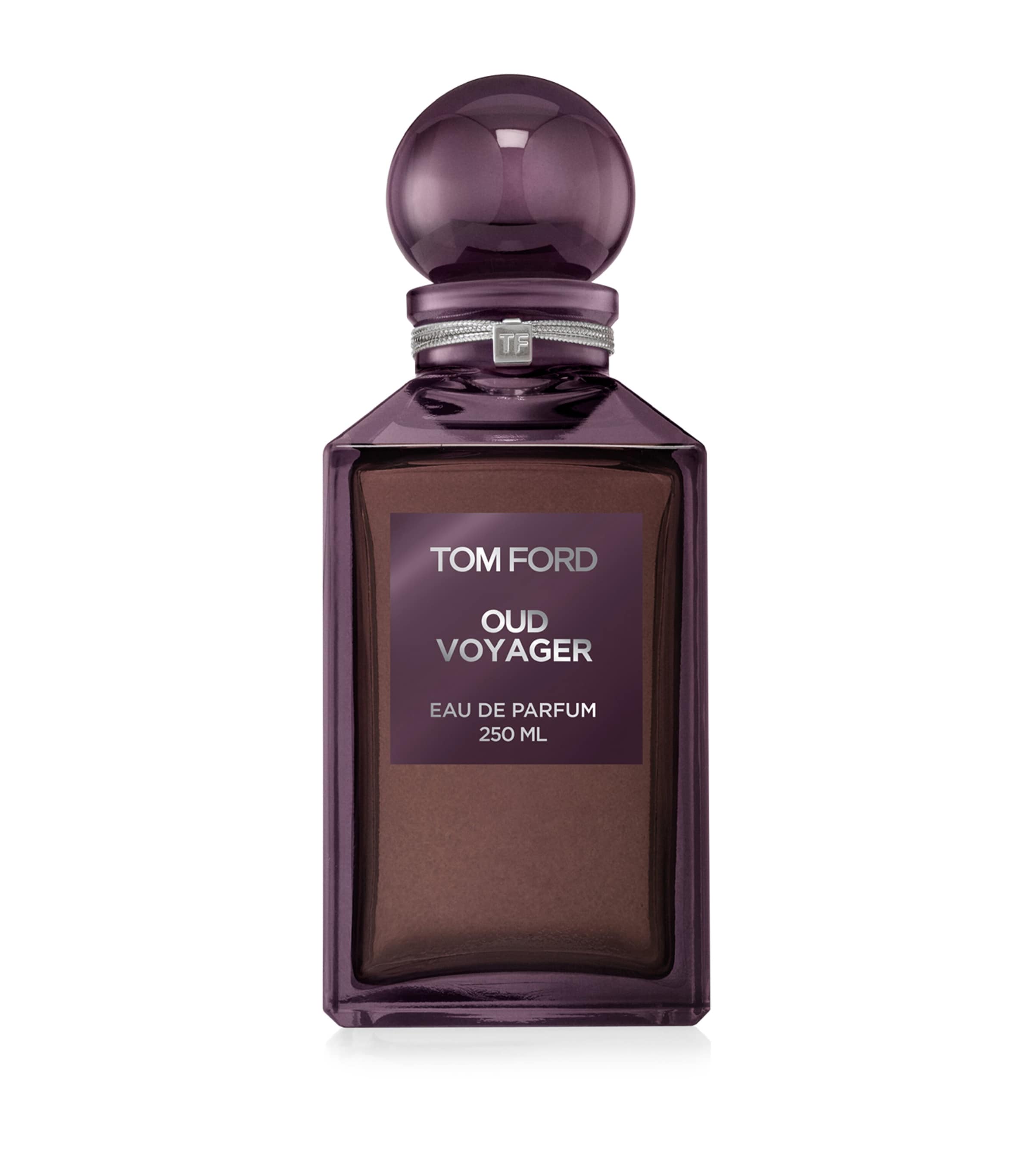 Oud Voyager Eau de Parfum (250ml)