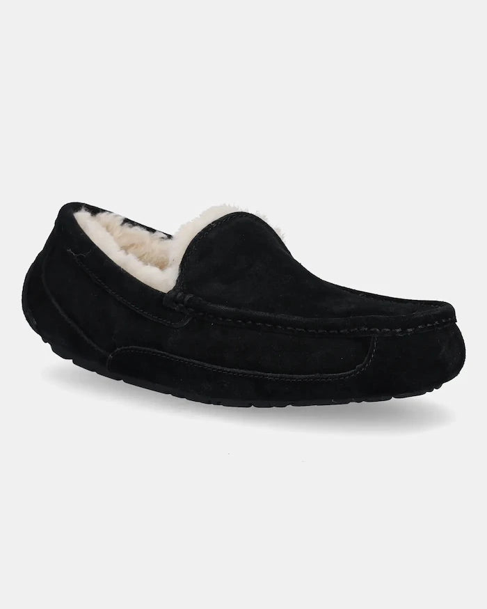 UGG - Ascot Süet Terlik