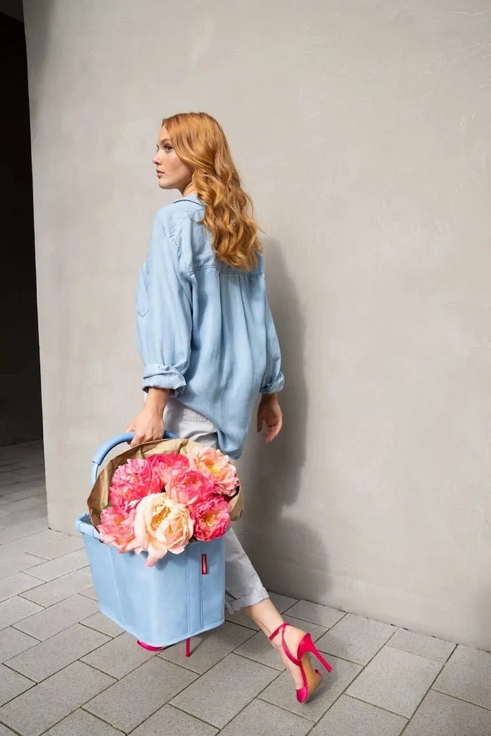 Кошче Reisenthel Carrybag Frame 22 L