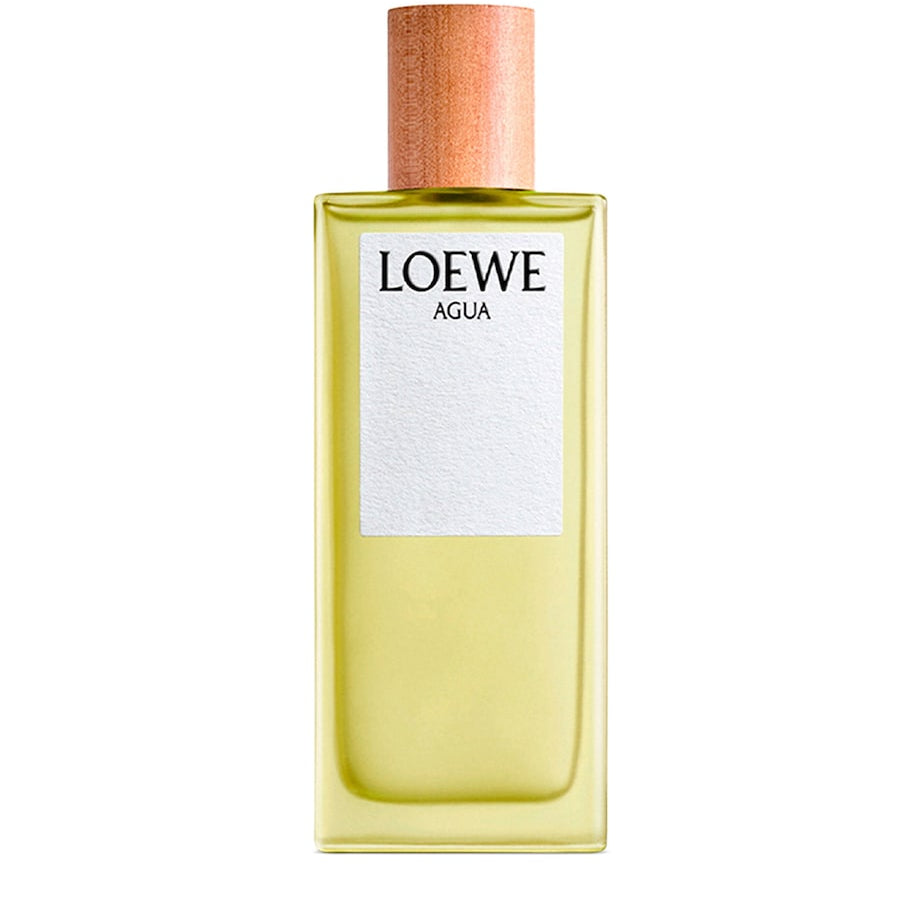 Agua Eau de Toilette (100Ml)
