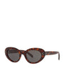 Celine Acetate CL40193I Sunglasses