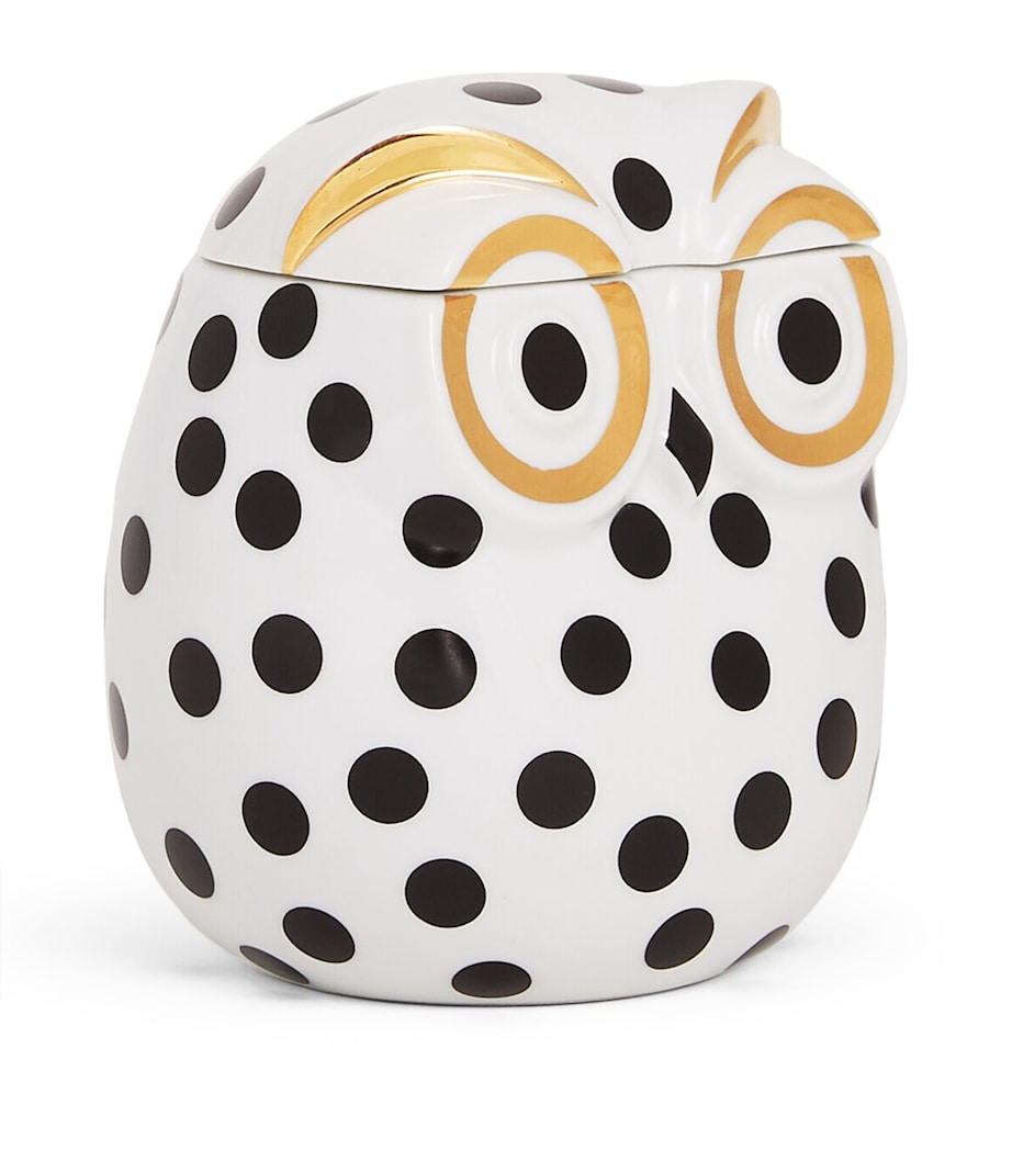 Civetta Impallinata Jar