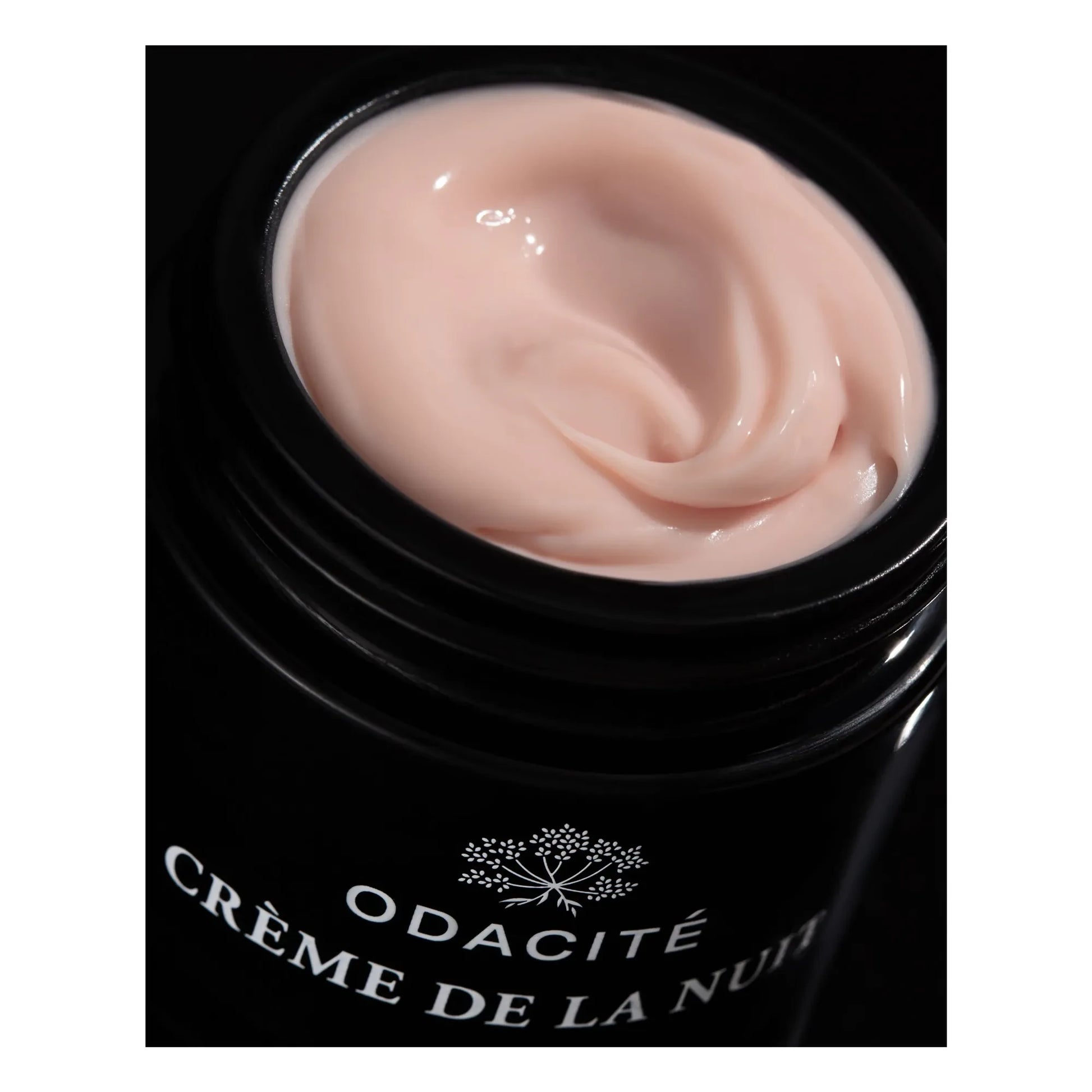 Odacité - Ashwagandha Vitamin C + Night Cream - 50ml