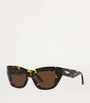 Brown Acetate 06J000398 Sunglasses