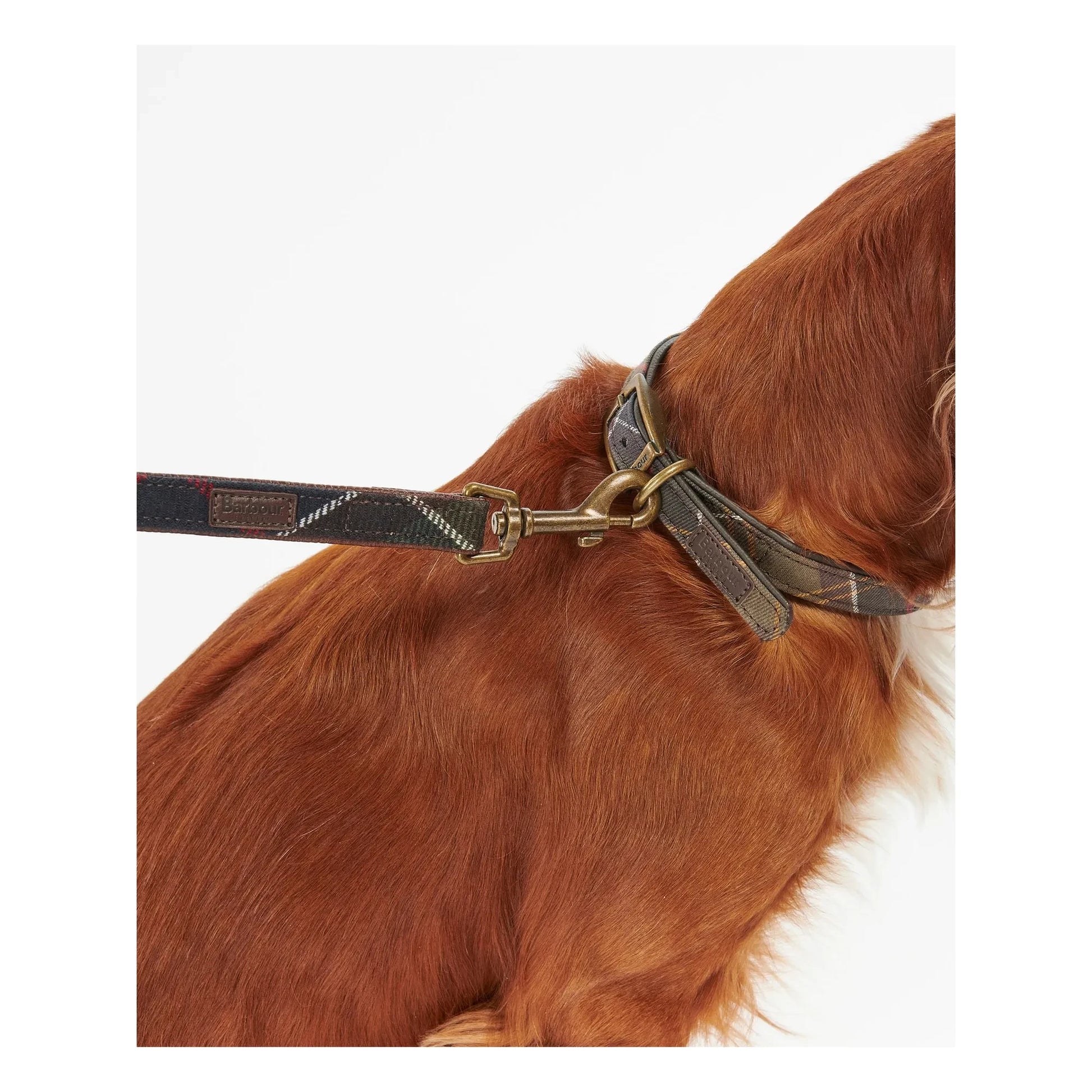 Barbour - Tartan dog leash | Taupe brown